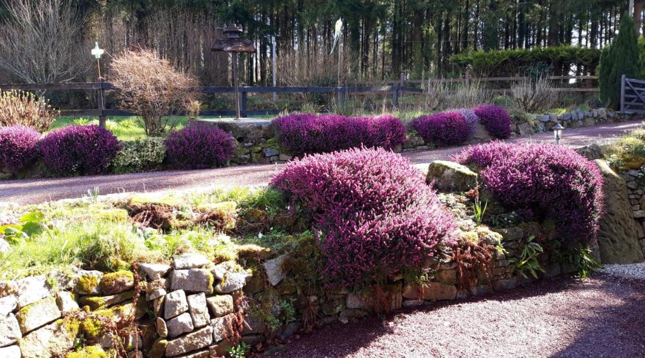 Le Petit Bois Normand - Chambre D'Hote Bed and Breakfast Champ-du-Boult Exterior foto