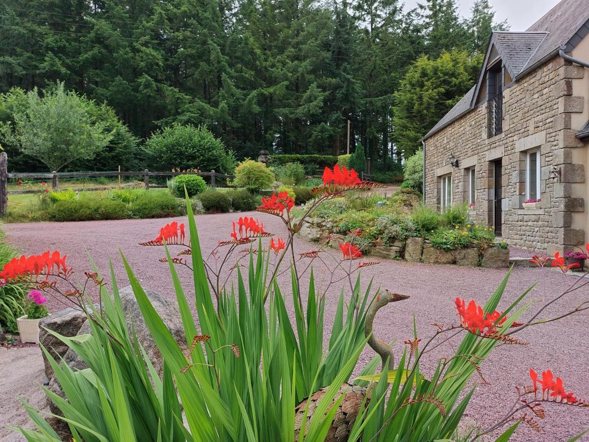 Le Petit Bois Normand - Chambre D'Hote Bed and Breakfast Champ-du-Boult Exterior foto